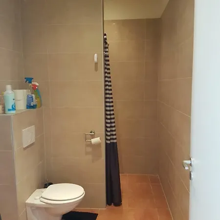 Artemis Farm Apartment4 Bad Blumau Exteriér fotografie